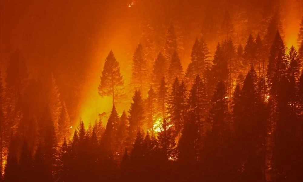 Yψηλός κίνδυνος πυρκαγιάς για τις 17 Αυγούστου - Ποιες περιοχές αφορά